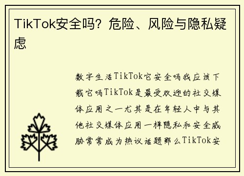 TikTok安全吗？危险、风险与隐私疑虑